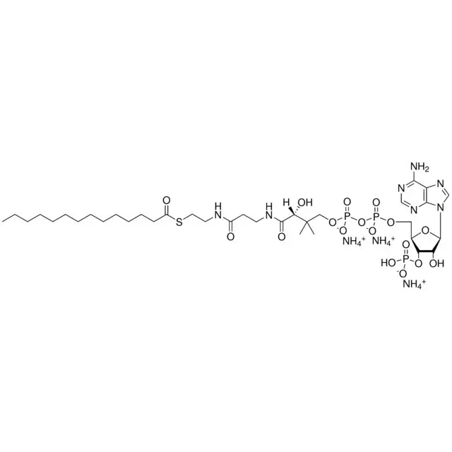 14:0 Coenzyme A