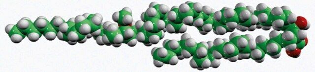 α-mycolic acid, methoxy cis