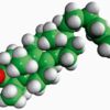 lanosterol