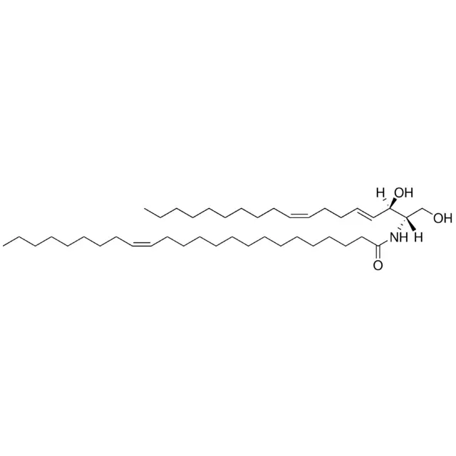 C24:1 Ceramide (d18:2(4E,8Z)/24:1(15Z))