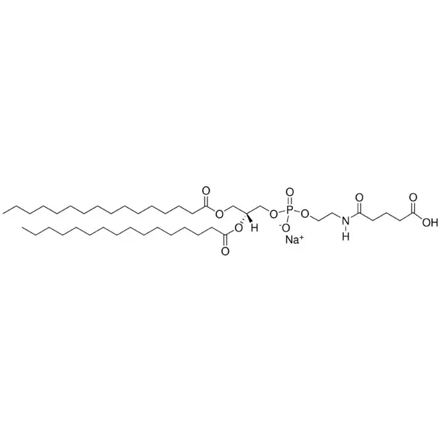 16:0 Glutaryl PE