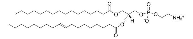 E. coli PE