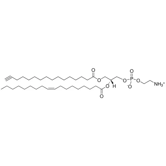 16:0(Alkyne)-18:1 PE