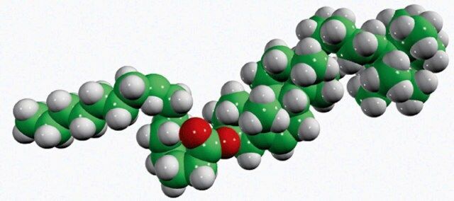15:0 cholesteryl-d7 ester