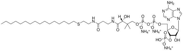 16:0 Ether Coenzyme A