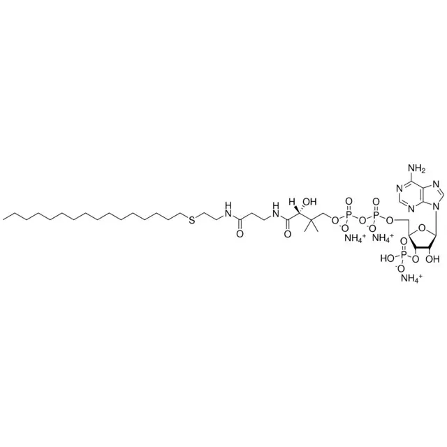 16:0 Ether Coenzyme A