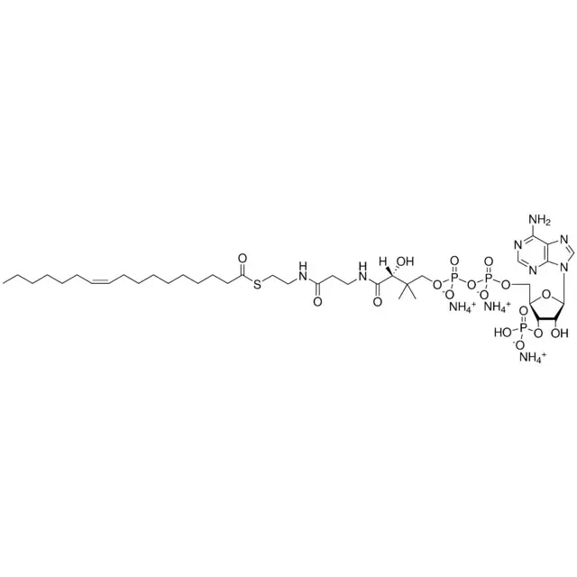 17:1 (n7) Coenzyme A
