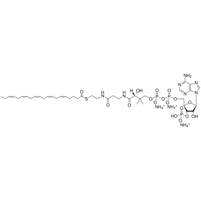 20:5 Coenzyme A