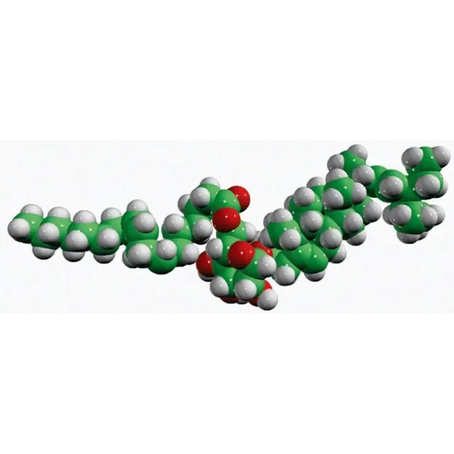 18:1 stigmasteryl glucose