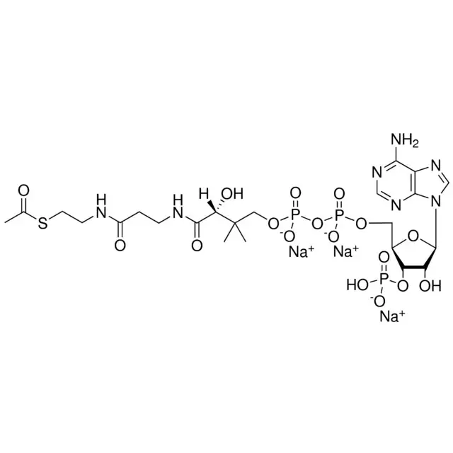 02:0 Coenzyme A