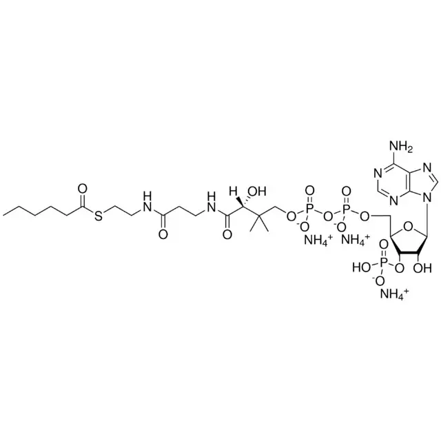06:0 Coenzyme A