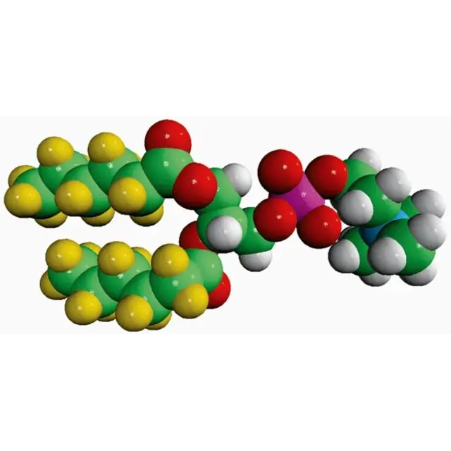 06:0 PC-d22