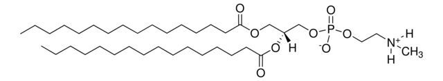 16:0 Monomethyl PE