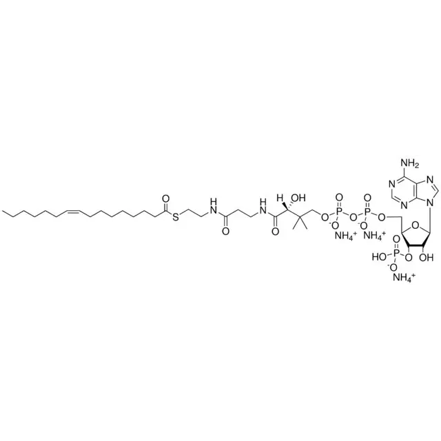 16:1 (n7) Coenzyme A