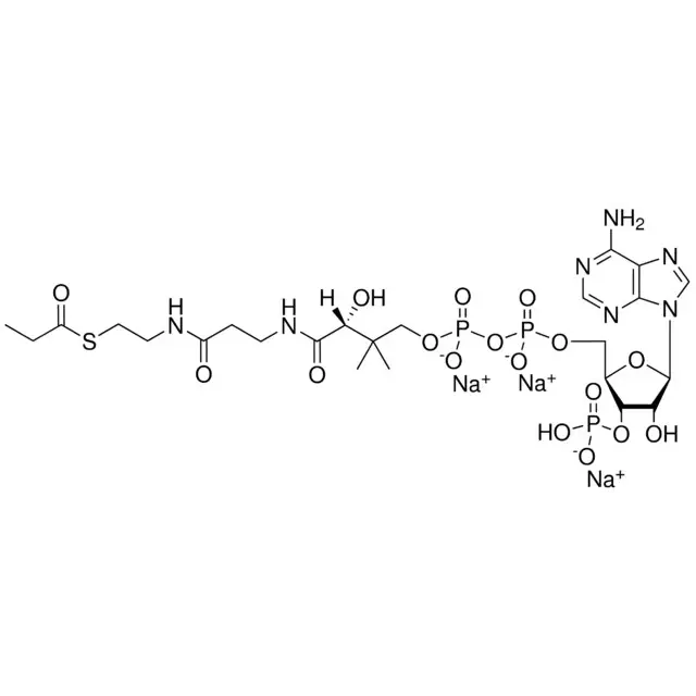 03:0 Coenzyme A