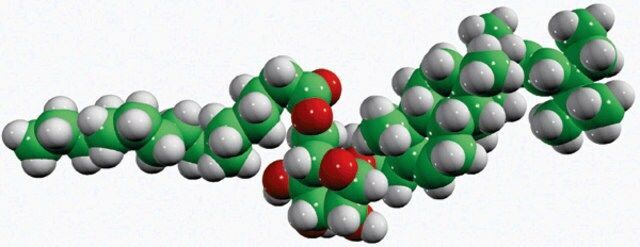 16:0 stigmasteryl glucose