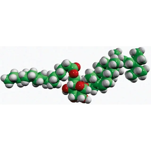 16:0 stigmasteryl glucose