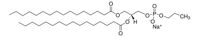 16:0 Phosphatidylpropanol