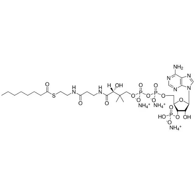 08:0 Coenzyme A