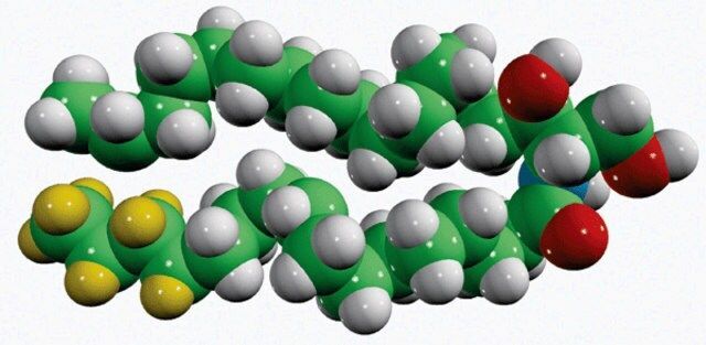 CER10(d9)
