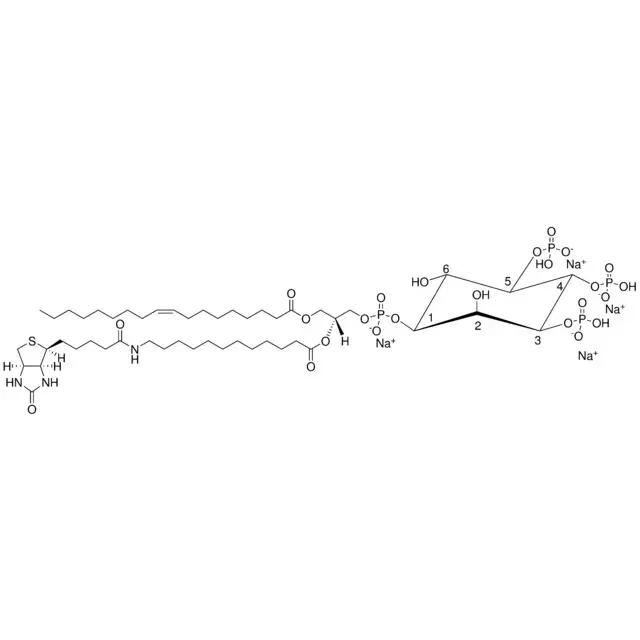 18:1-12:0 Biotin PIP3