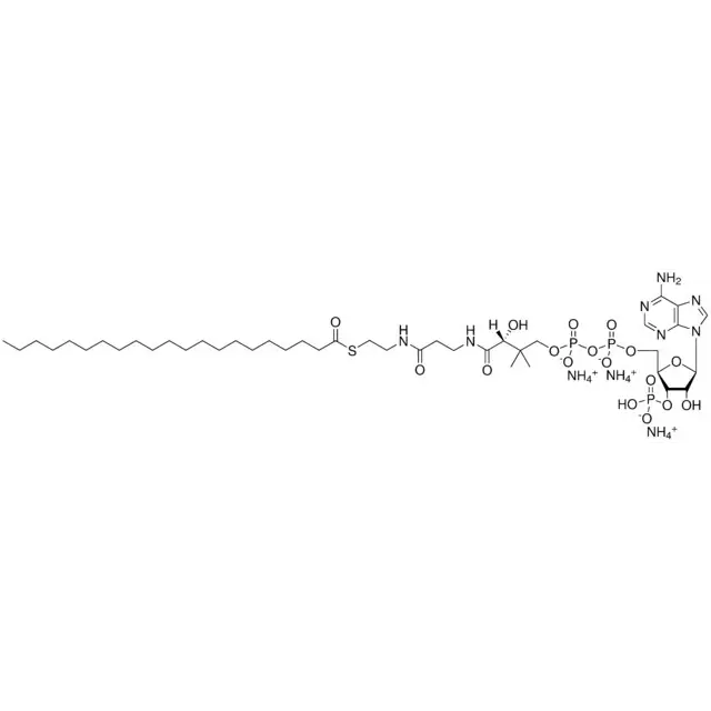 21:0 Coenzyme A