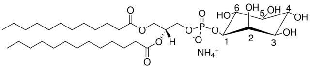 12:0-13:0 PI