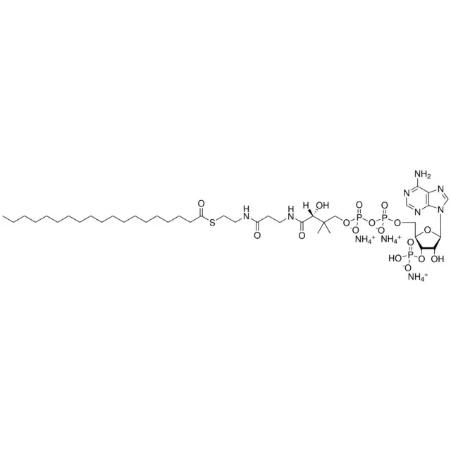 19:0 Coenzyme A