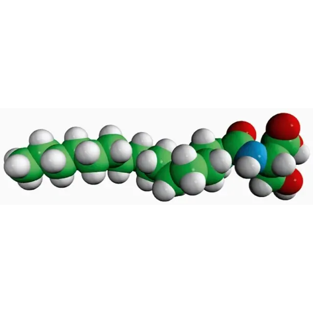 N-16:0 L-Serine