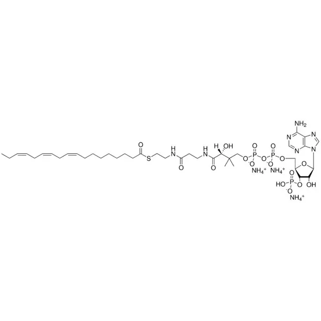 18:3 (n3) Coenzyme A