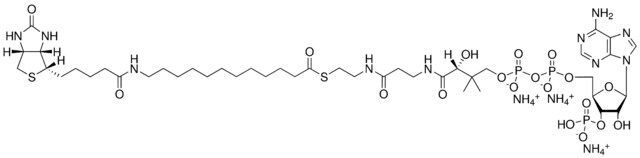12:0 Biotinyl Coenzyme A