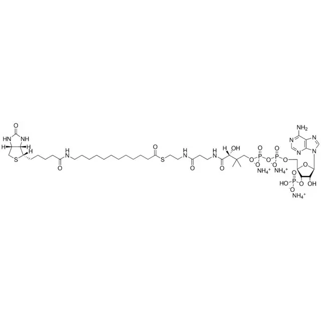12:0 Biotinyl Coenzyme A