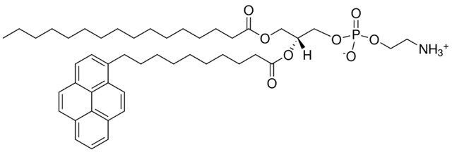 β-Py-C10-HPE
