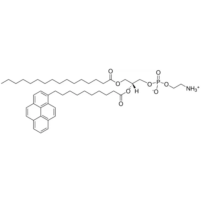 β-Py-C10-HPE