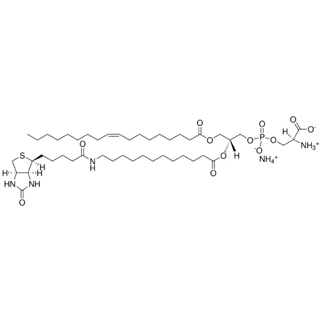 18:1-12:0 Biotin PS