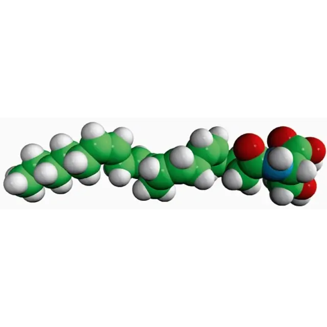 N-20:4 L-Serine (ARA-S)