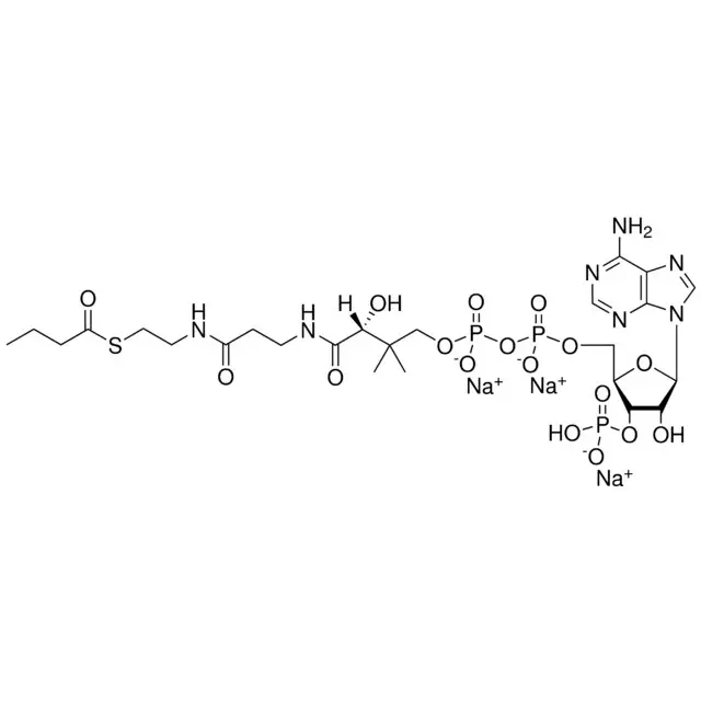 04:0 Coenzyme A