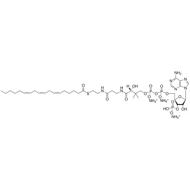 18:3 (n6) Coenzyme A