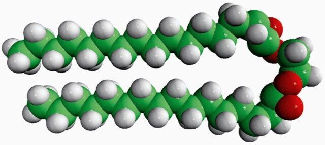 16:0 Ethylene Glycol