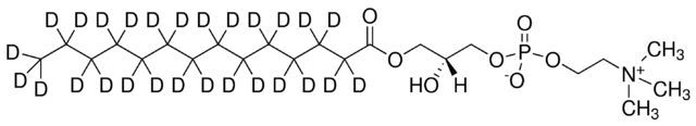 14:0-d27 Lyso PC