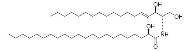 22:0(2R-OH) Ceramide