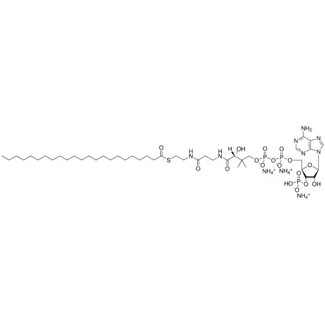 23:0 Coenzyme A