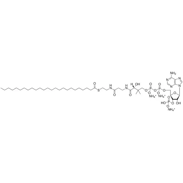 25:0 Coenzyme A