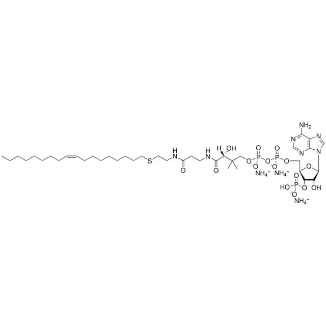 18:1 ether Coenzyme A