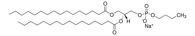 16:0 Phosphatidylbutanol