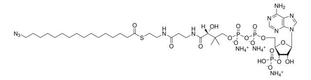 16:0 Azido Coenzyme A