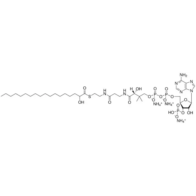 18:0(α-OH) Coenzyme A