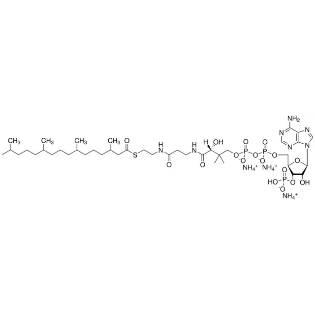 4ME 16:0 Coenzyme A