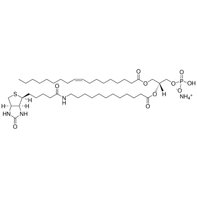 18:1-12:0 Biotin PA