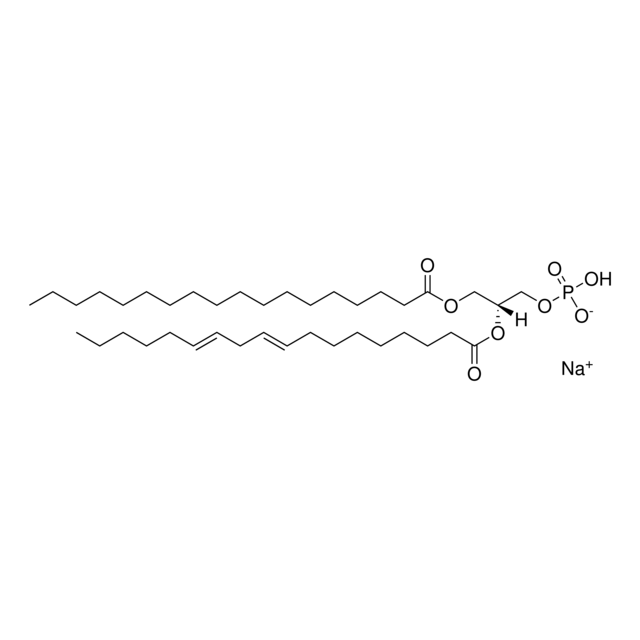 18:0-18:2 PA